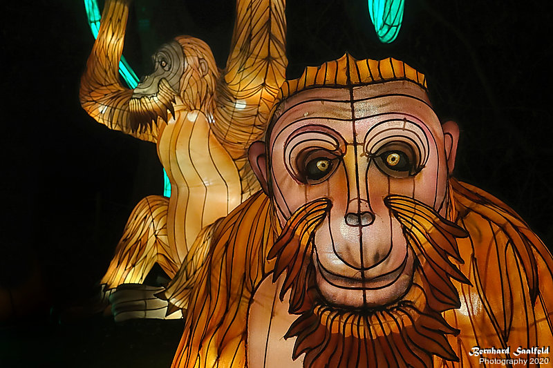 Bernhard Saalfeld - China-Light-Festival 2020 (5v9)